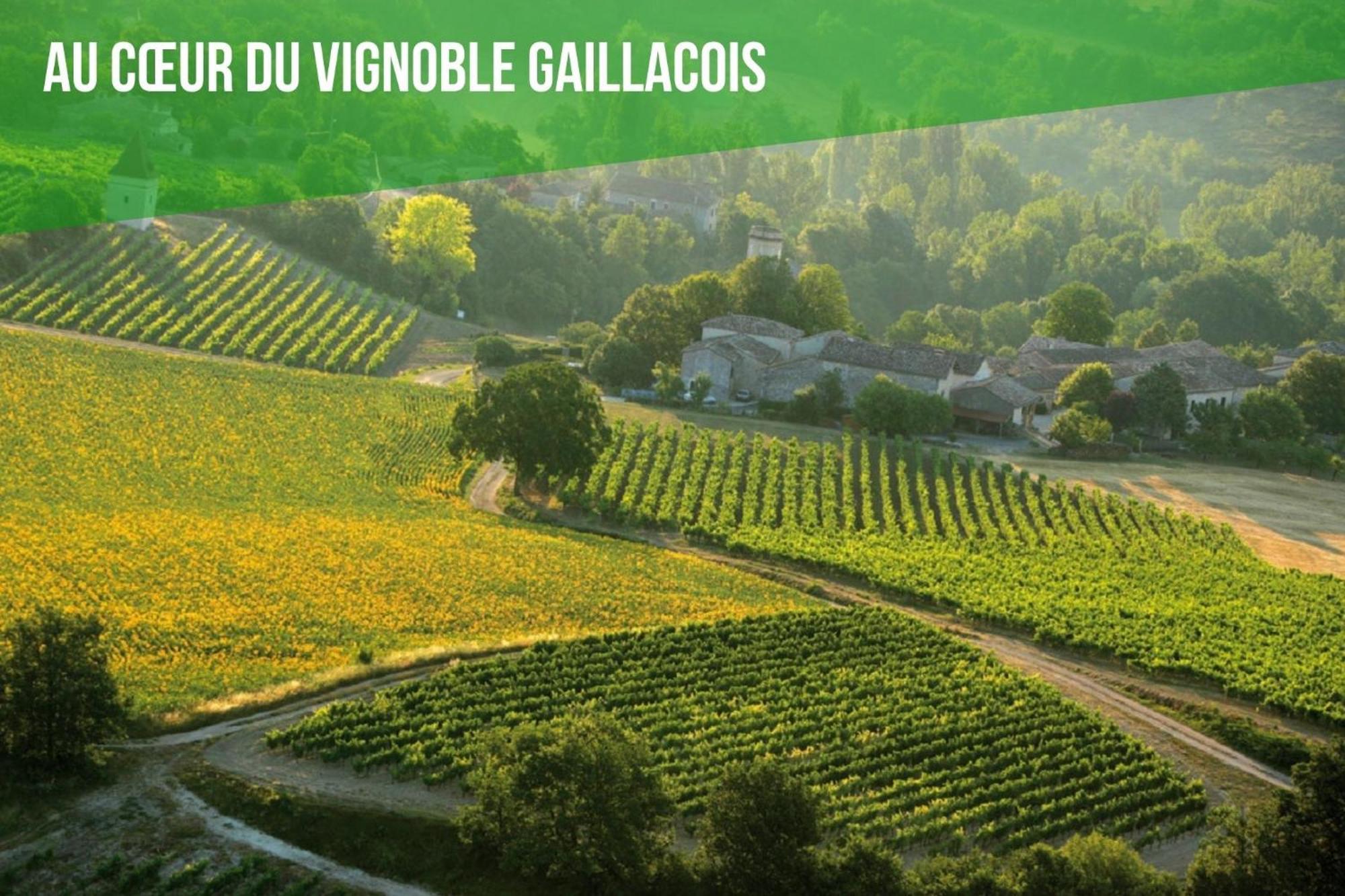 Le Cottage Nature Vigne Rouge Gaillac entre Albi / Toulouse Brens  Esterno foto